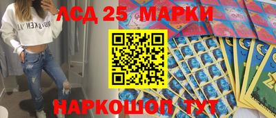 крисы Аргун