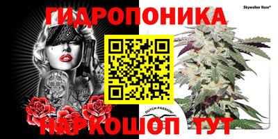 крисы Аргун