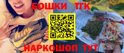 крисы Аргун