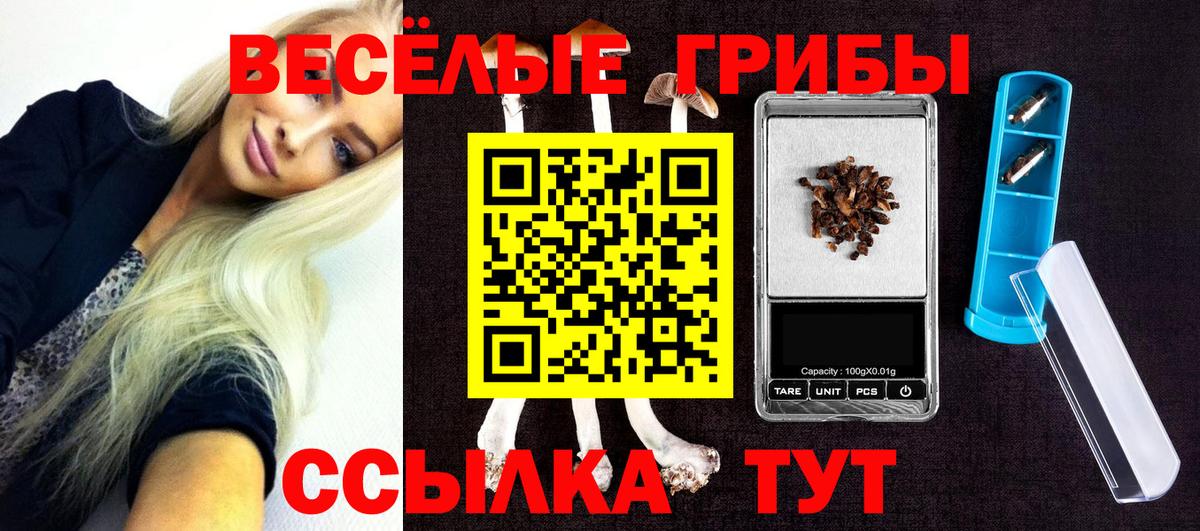 Галлюциногенные грибы прущие грибы  Галлюциногенные грибы ЛСД  Балашиха  Вход с VPN 