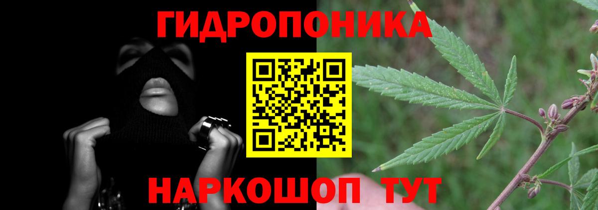 Конопля Amnesia  Конопля White Widow  Бошки Шишки White Widow  Балашиха  Марихуана White Widow  Вход с VPN 